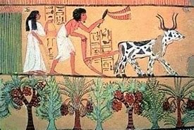 التقويم الأول في تاريخ البشرية : رأس السنة المصرية